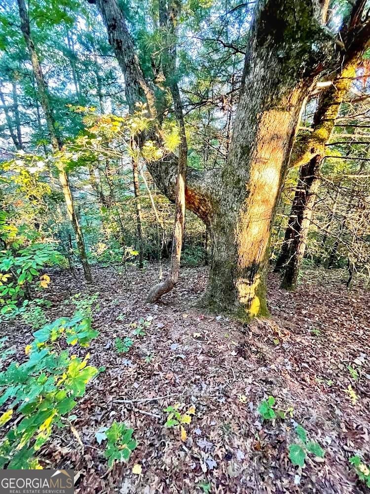 unimproved land for sale at 0 Blue Ridge Gap Road, Rabun Gap, GA 30568 — photo 4