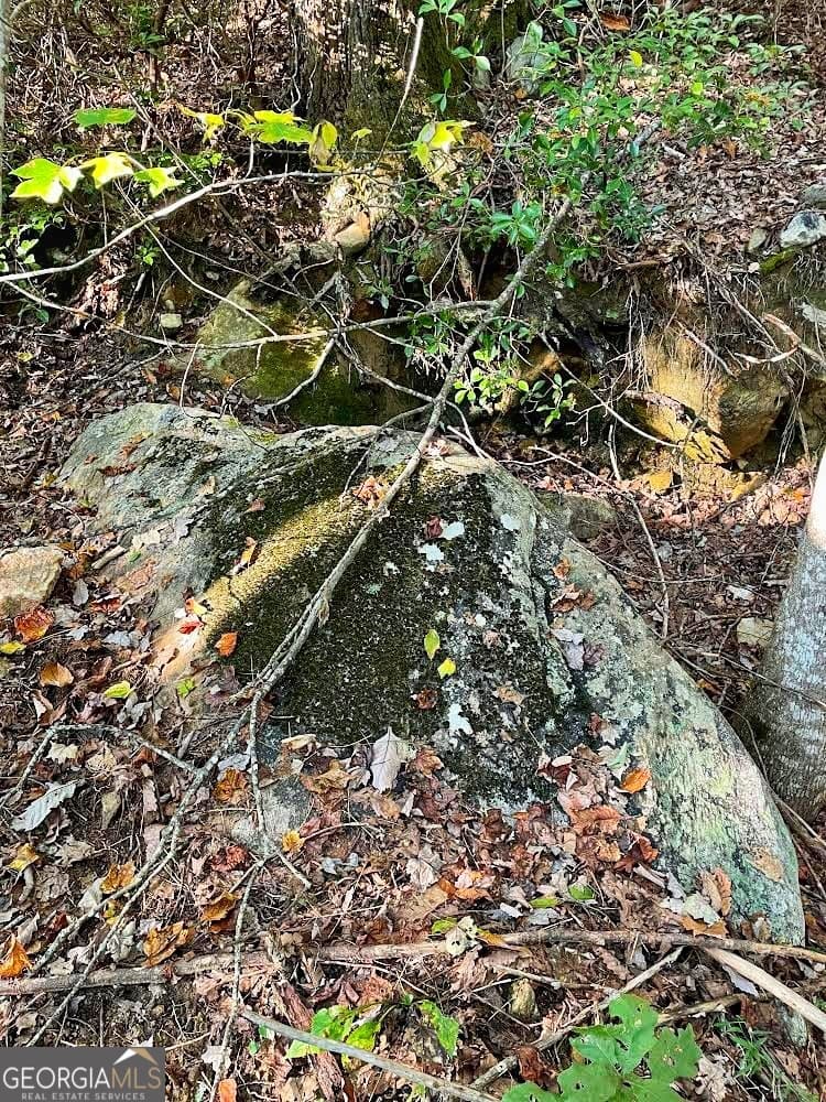 unimproved land for sale at 0 Blue Ridge Gap Road, Rabun Gap, GA 30568 — photo 8