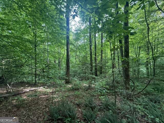 unimproved land for sale at 389 Fox Trot Road TRACT B, Clayton, GA 30525 — photo 2