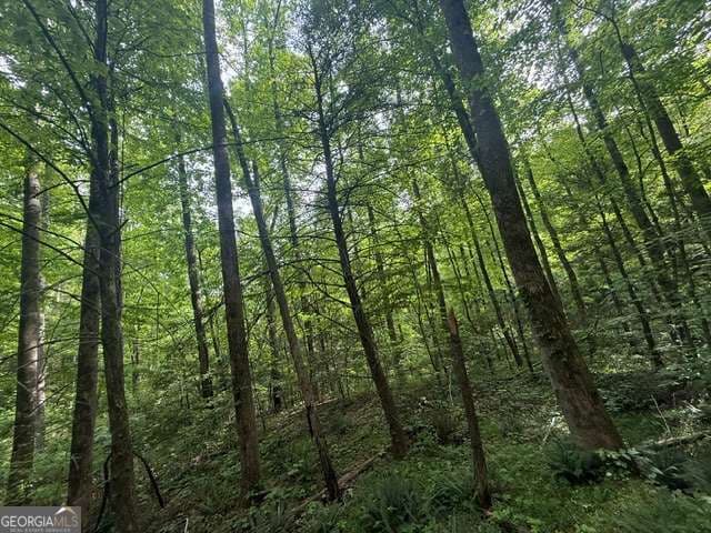unimproved land for sale at 389 Fox Trot Road TRACT B, Clayton, GA 30525 — photo 3