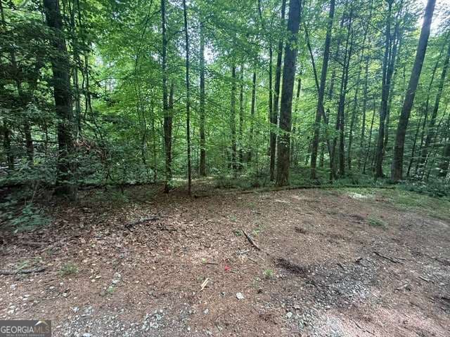 unimproved land for sale at 389 Fox Trot Road TRACT B, Clayton, GA 30525 — photo 1 of 3