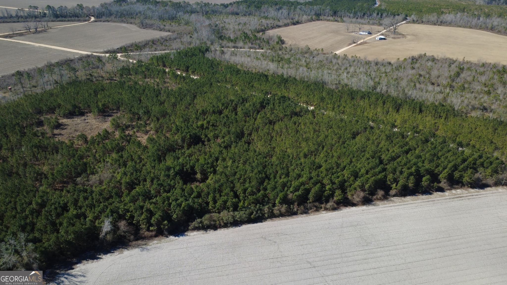 agriculture sold at TRACT 4 Greyhound Road, Mershon, GA 31551