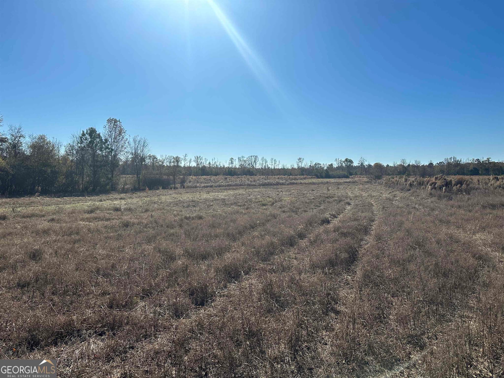 agriculture sold at 0 Buck Creek Road, Sylvania, GA 30467