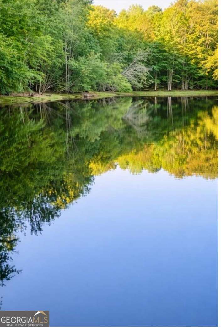 residential lot for sale at 0 Malone Road, Fayetteville, GA 30215 — photo 1 of 8