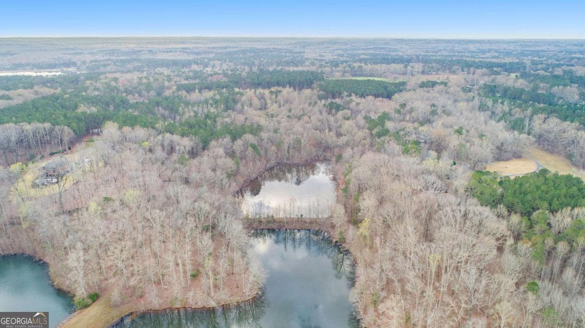 residential lot for sale at 0 Malone Road, Fayetteville, GA 30215 — photo 8