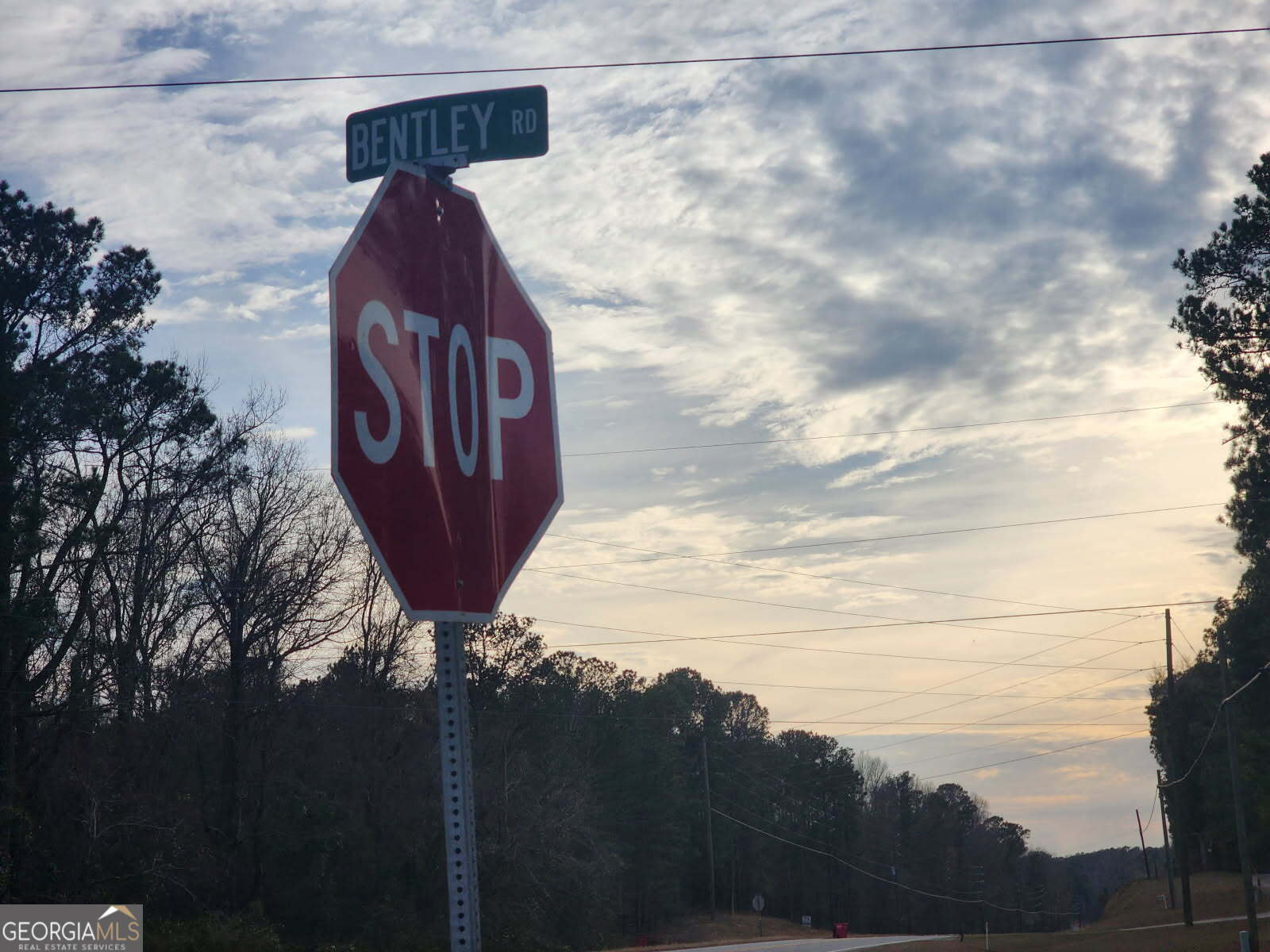 unimproved land for sale at 0 Bentley Road, Knoxville, GA 31050 — photo 2
