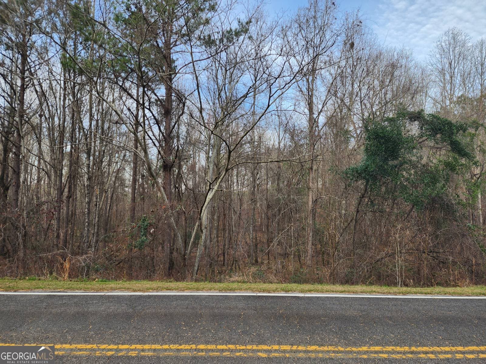 unimproved land for sale at 0 Bentley Road, Knoxville, GA 31050 — photo 1 of 2