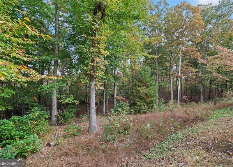 residential lot for sale at 0 Ammons Drive, Waleska, GA 30183 — photo 3