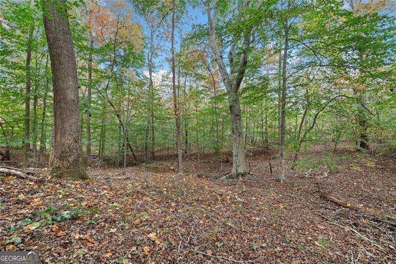 residential lot for sale at 0 Ammons Drive, Waleska, GA 30183 — photo 1 of 3