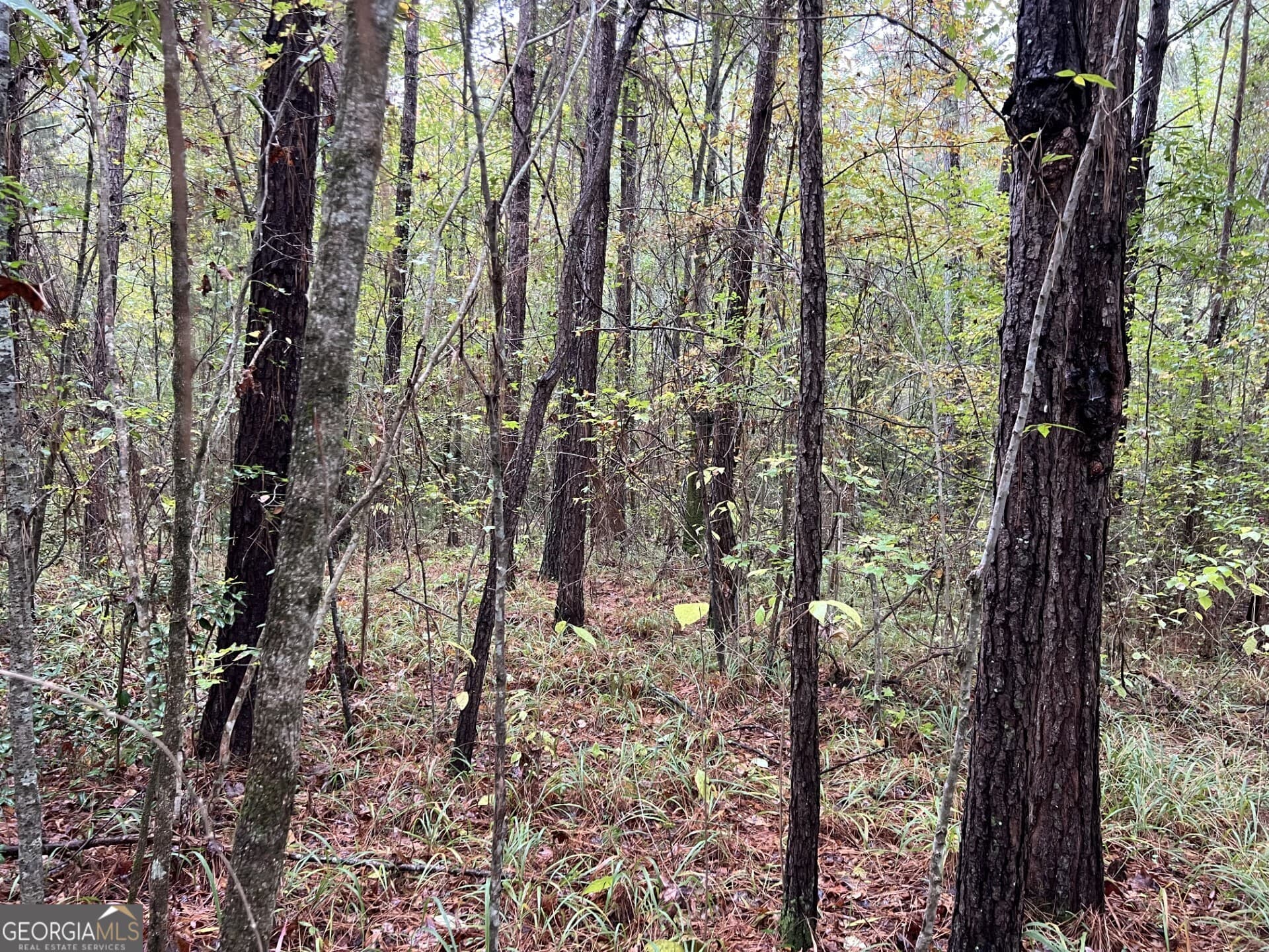 residential lot for sale at 0 Clinton Crossing Drive, Gray, GA 31032 — photo 6