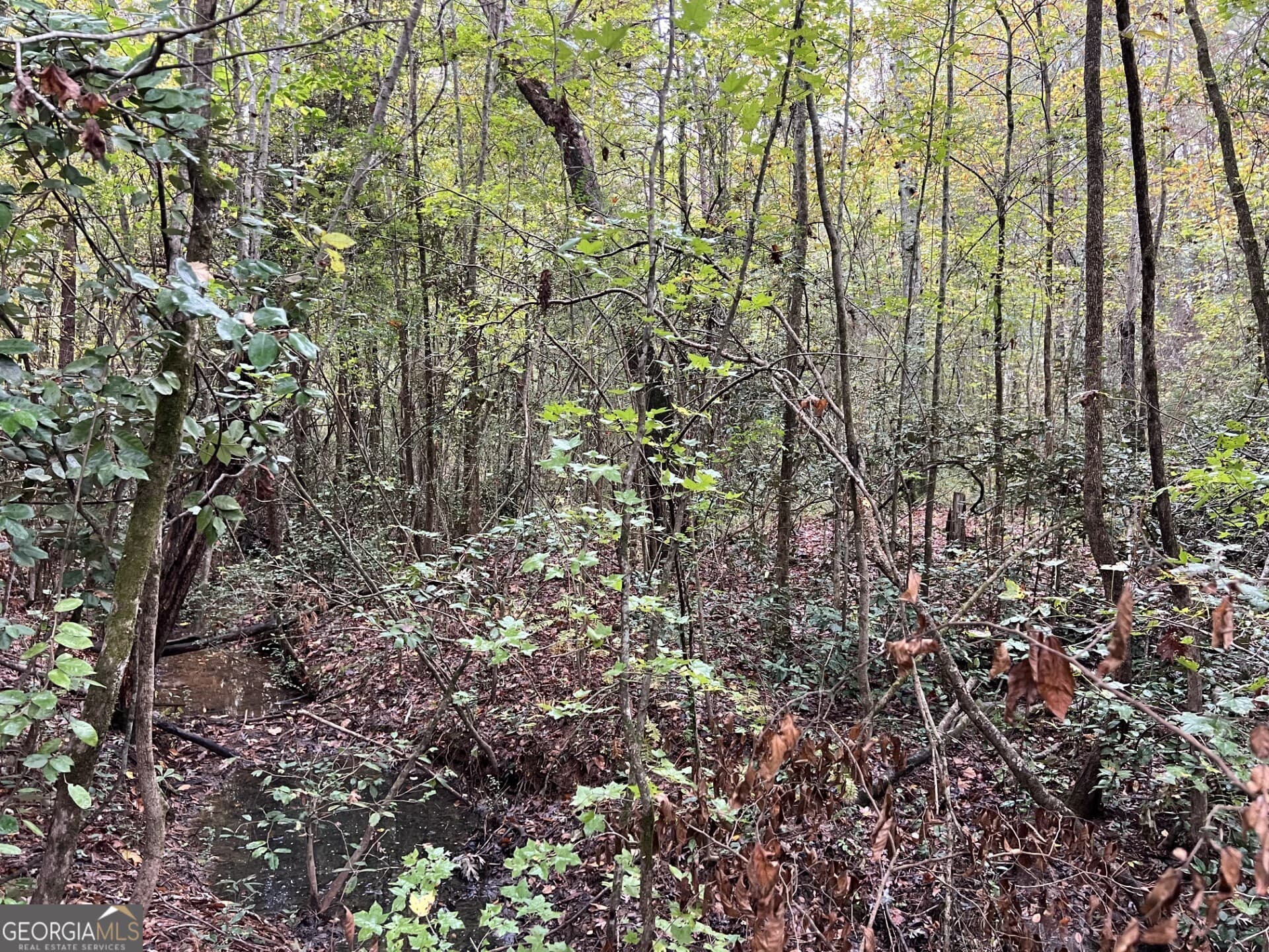residential lot for sale at 0 Clinton Crossing Drive, Gray, GA 31032