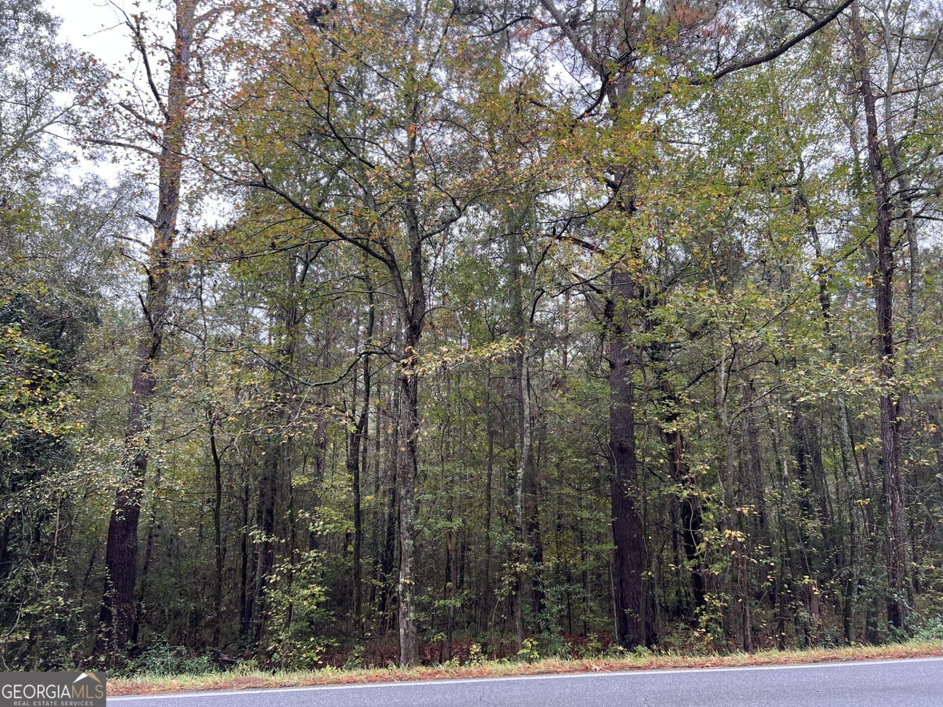 residential lot for sale at 0 Clinton Crossing Drive, Gray, GA 31032 — photo 9