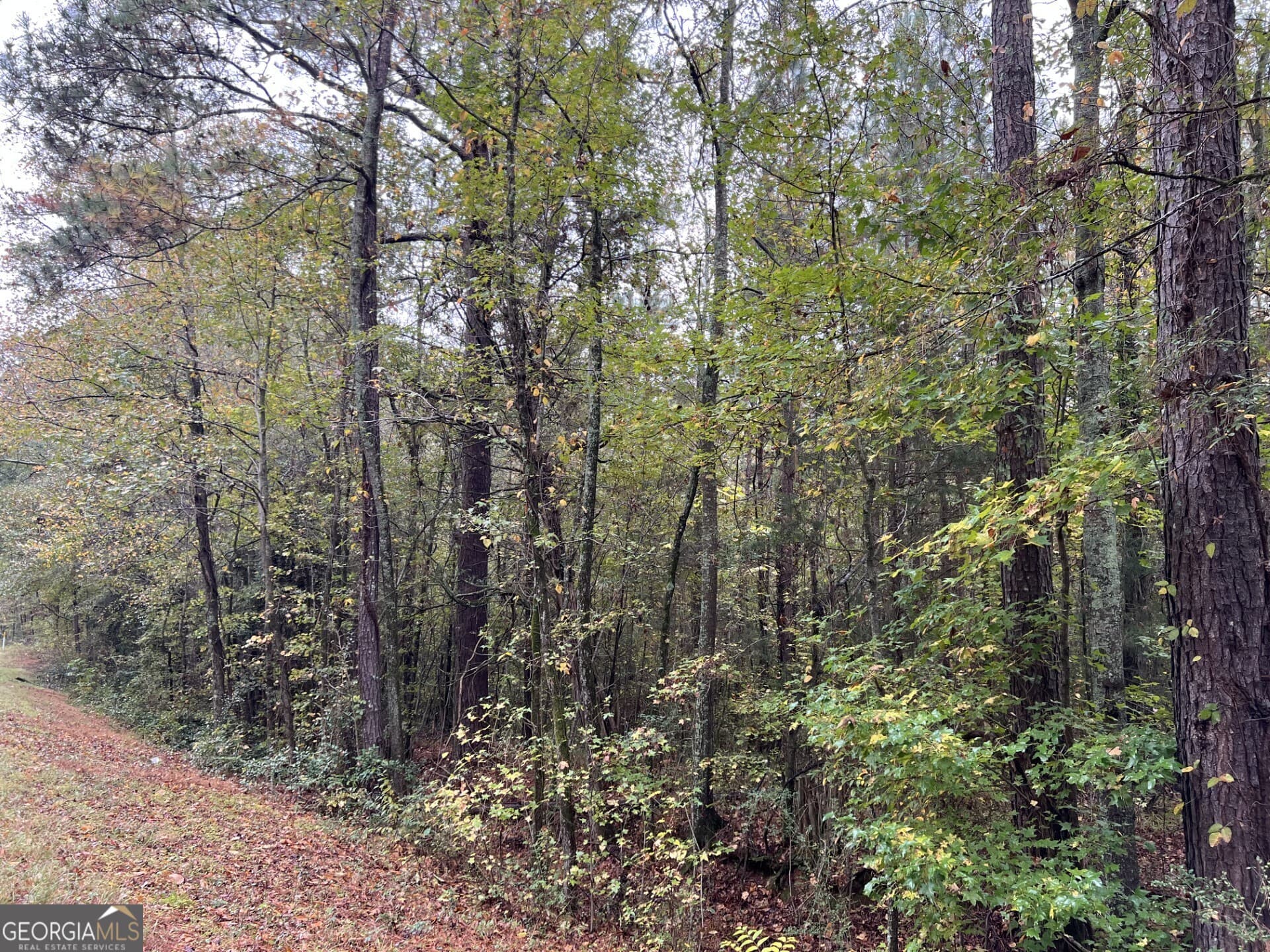 residential lot for sale at 0 Clinton Crossing Drive, Gray, GA 31032 — photo 8