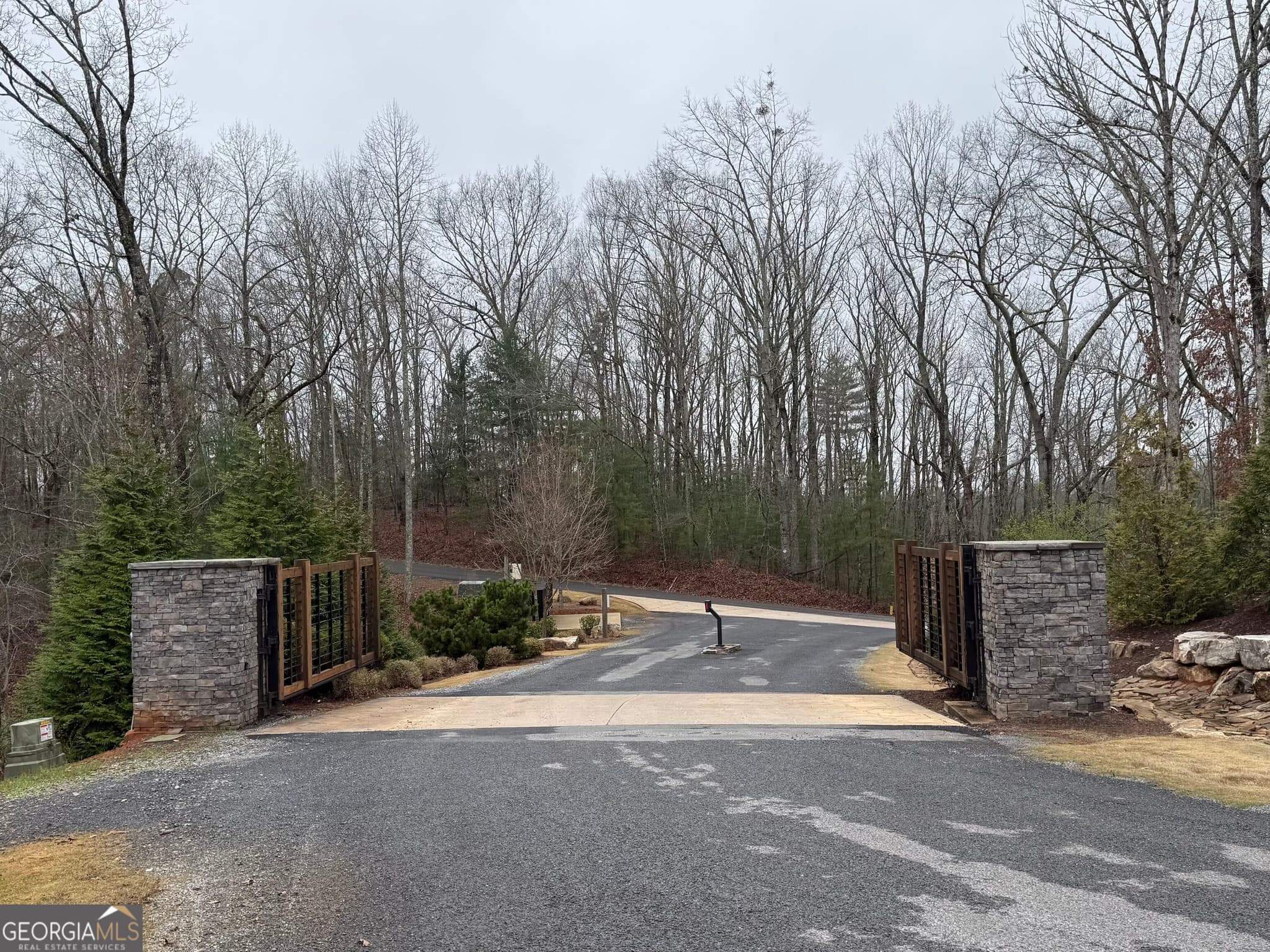 residential lot for sale at 0 Lake Top Lane, Ellijay, GA 30536 — photo 2