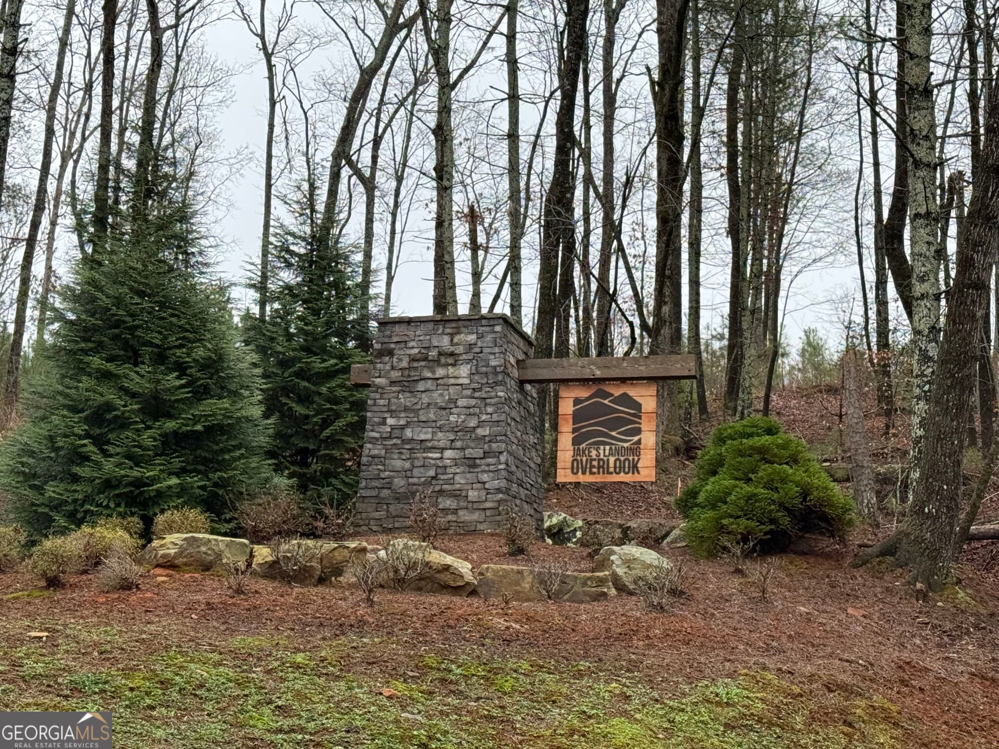 residential lot for sale at 0 Lake Top Lane, Ellijay, GA 30536 — photo 3