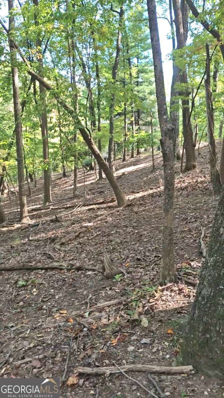 residential lot for sale at 315 Windflower Drive, Big Canoe, GA 30143 — photo 2