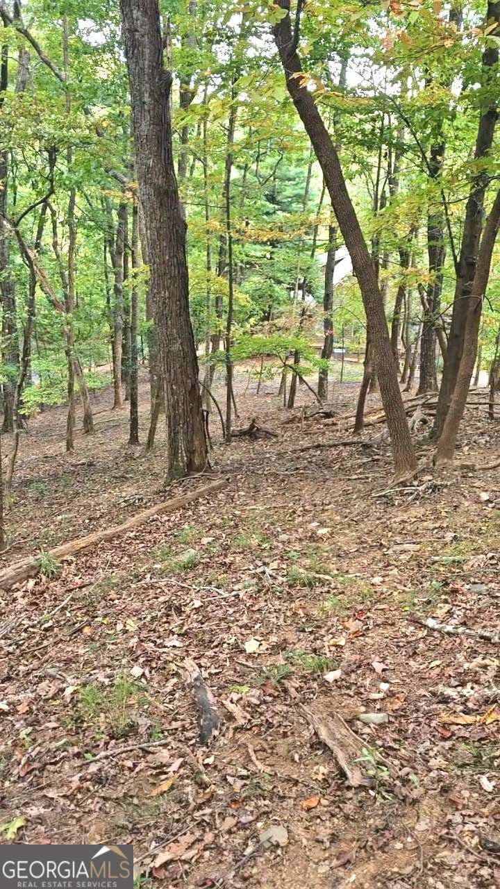 residential lot for sale at 315 Windflower Drive, Big Canoe, GA 30143 — photo 6