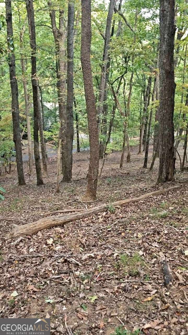 residential lot for sale at 315 Windflower Drive, Big Canoe, GA 30143 — photo 7