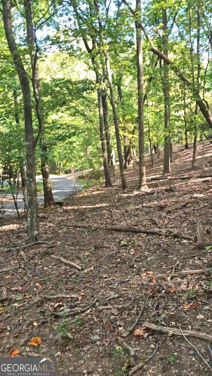 residential lot for sale at 315 Windflower Drive, Big Canoe, GA 30143 — photo 3