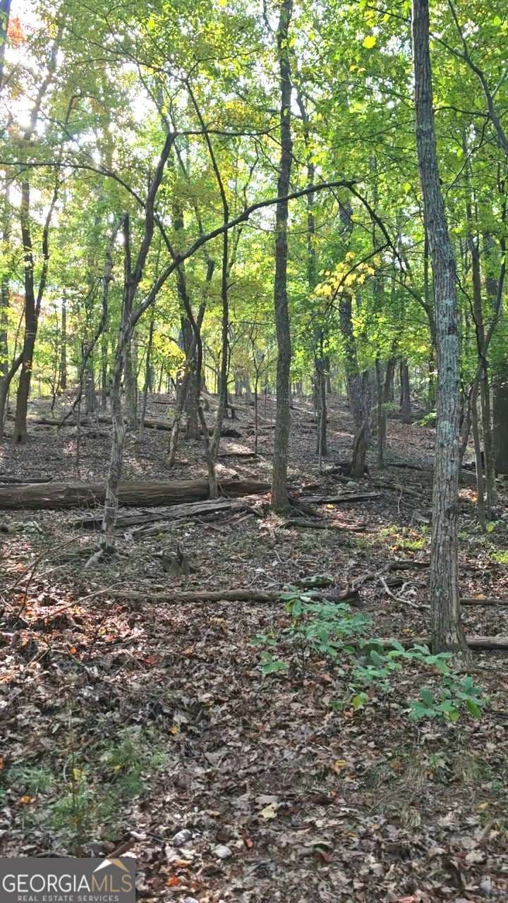 residential lot for sale at 315 Windflower Drive, Big Canoe, GA 30143 — photo 1 of 34