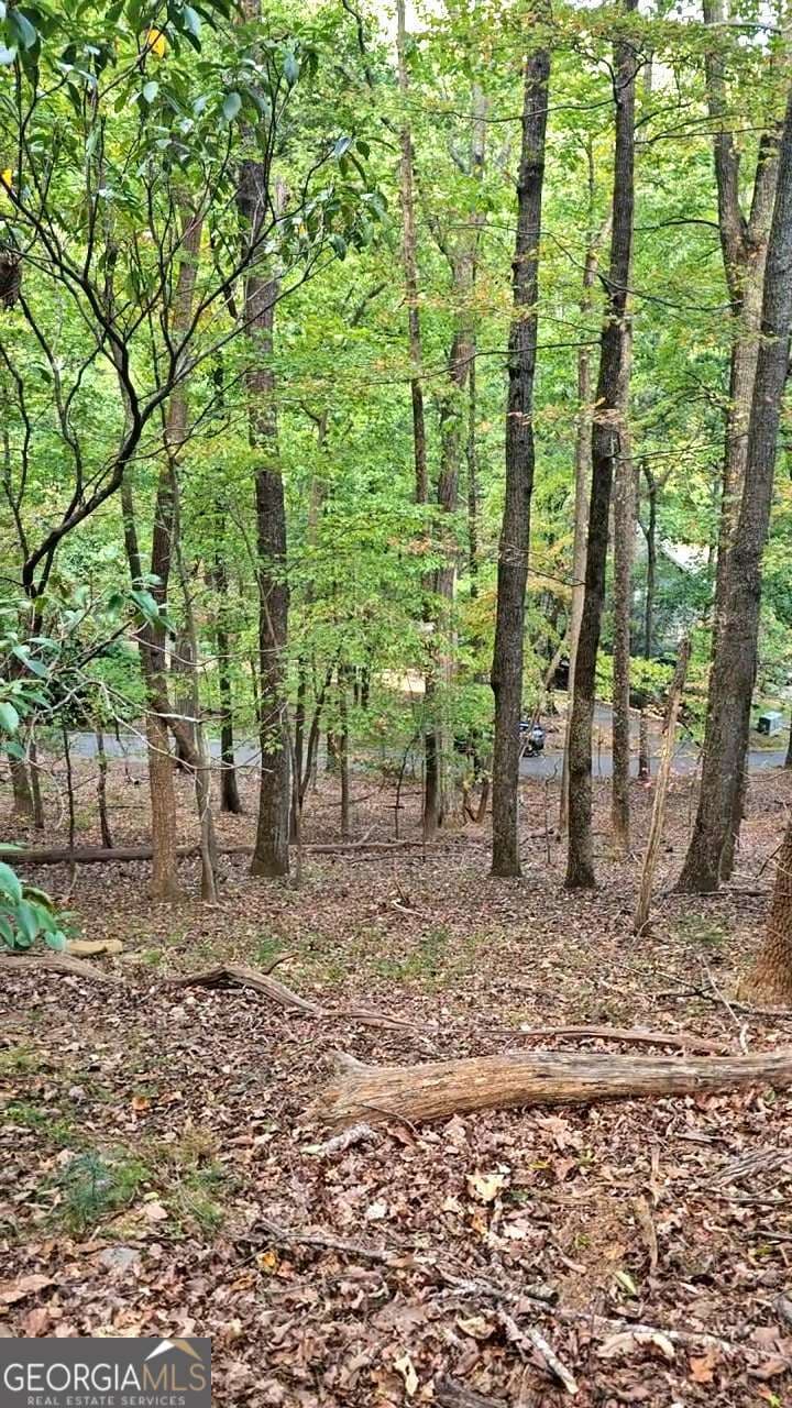 residential lot for sale at 315 Windflower Drive, Big Canoe, GA 30143 — photo 5