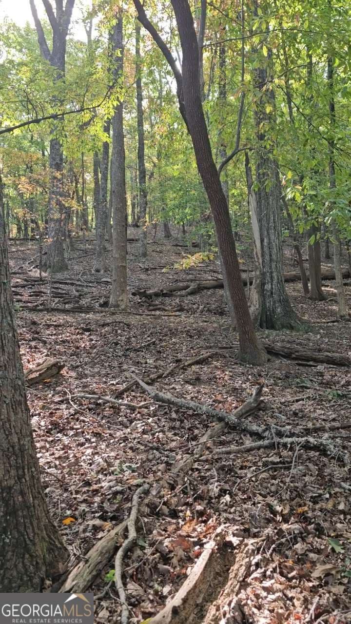 residential lot for sale at 315 Windflower Drive, Big Canoe, GA 30143 — photo 9