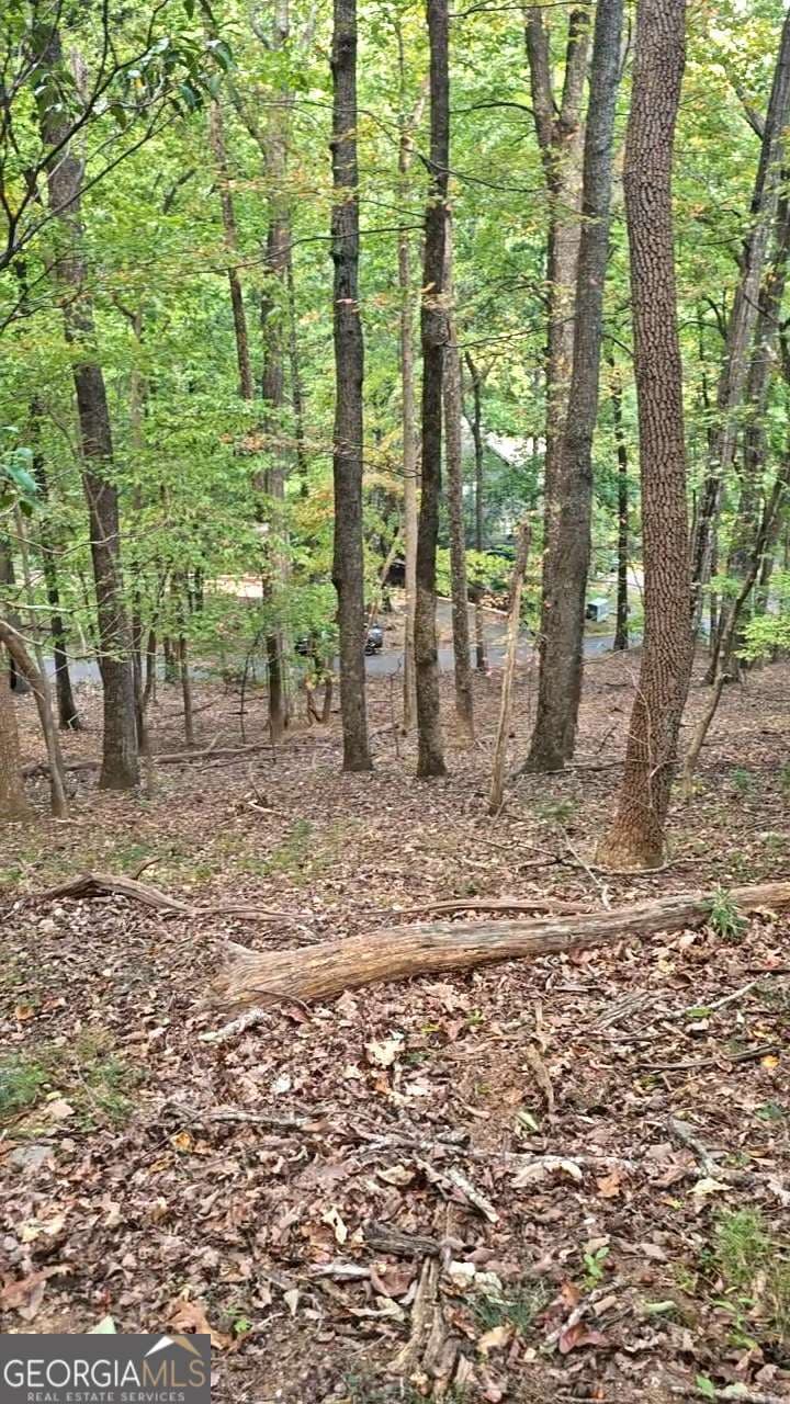 residential lot for sale at 315 Windflower Drive, Big Canoe, GA 30143 — photo 4