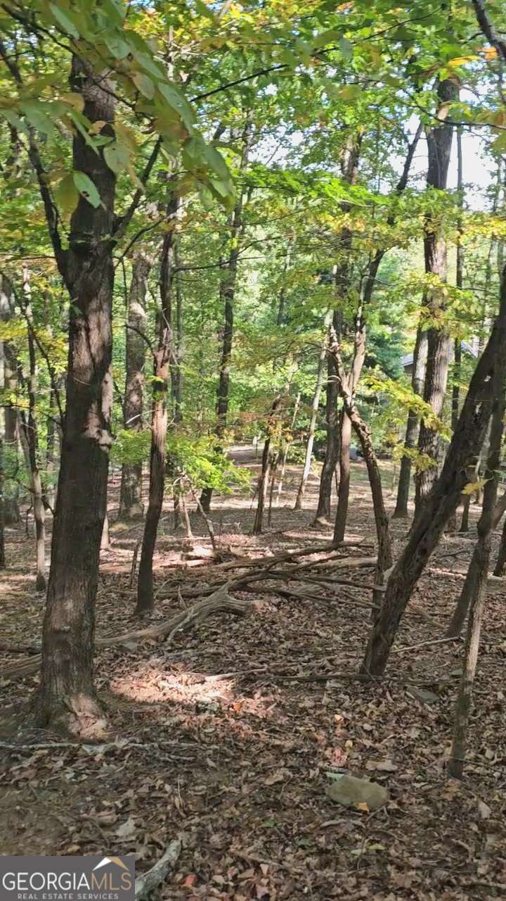 residential lot for sale at 315 Windflower Drive, Big Canoe, GA 30143 — photo 8