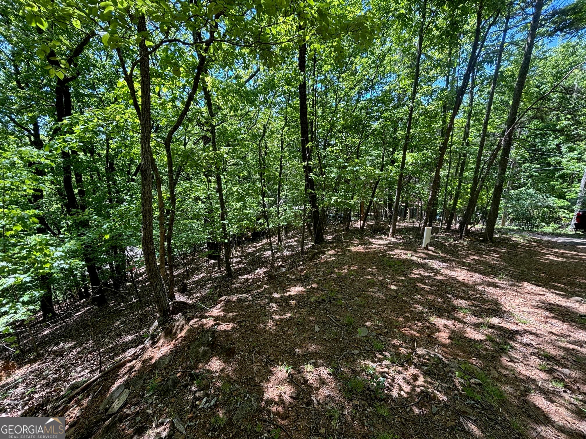 residential lot for sale at 0 Lookout Ridge Road 11, Cleveland, GA 30528 — photo 2
