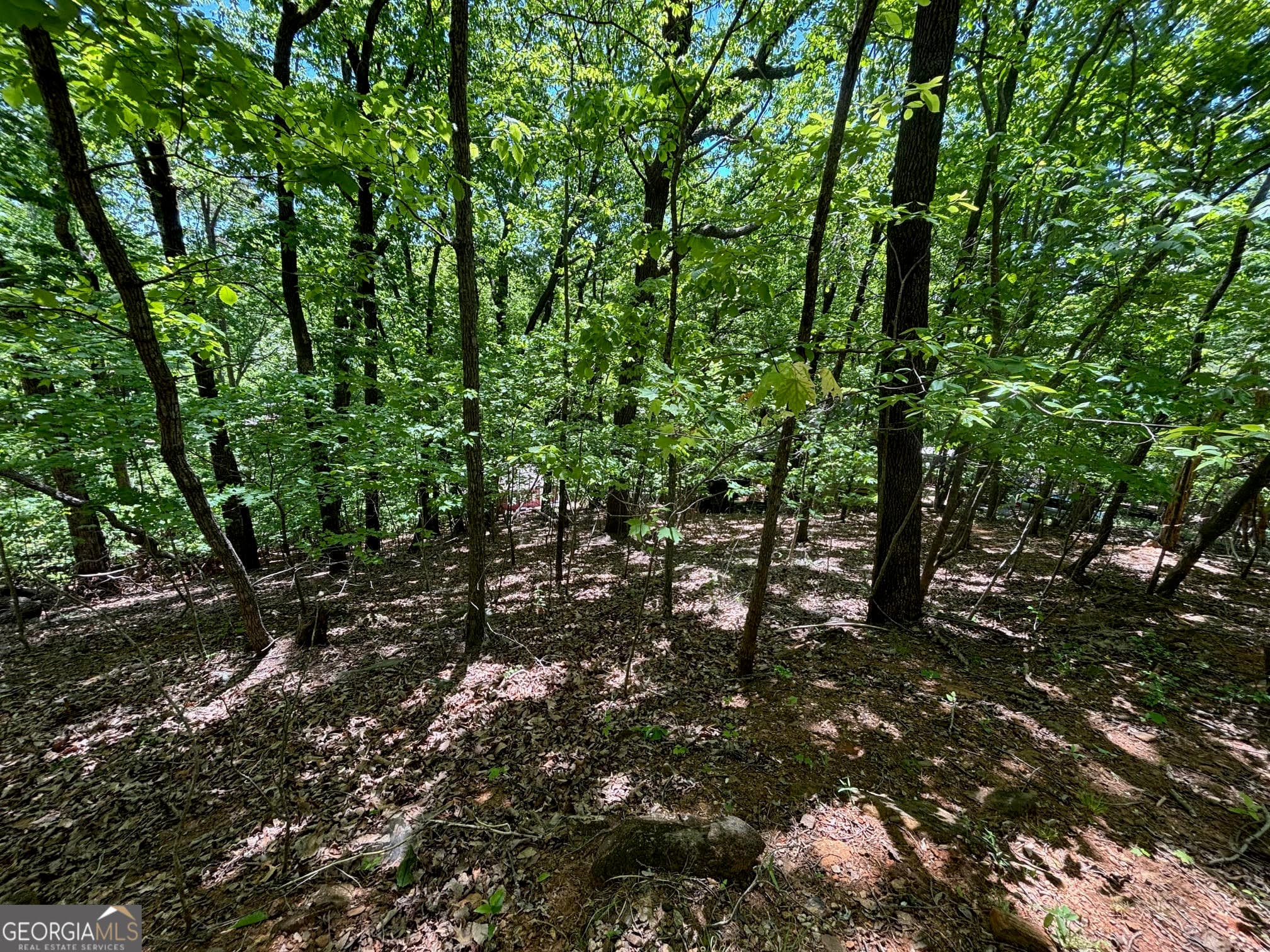residential lot for sale at 0 Lookout Ridge Road 11, Cleveland, GA 30528 — photo 6