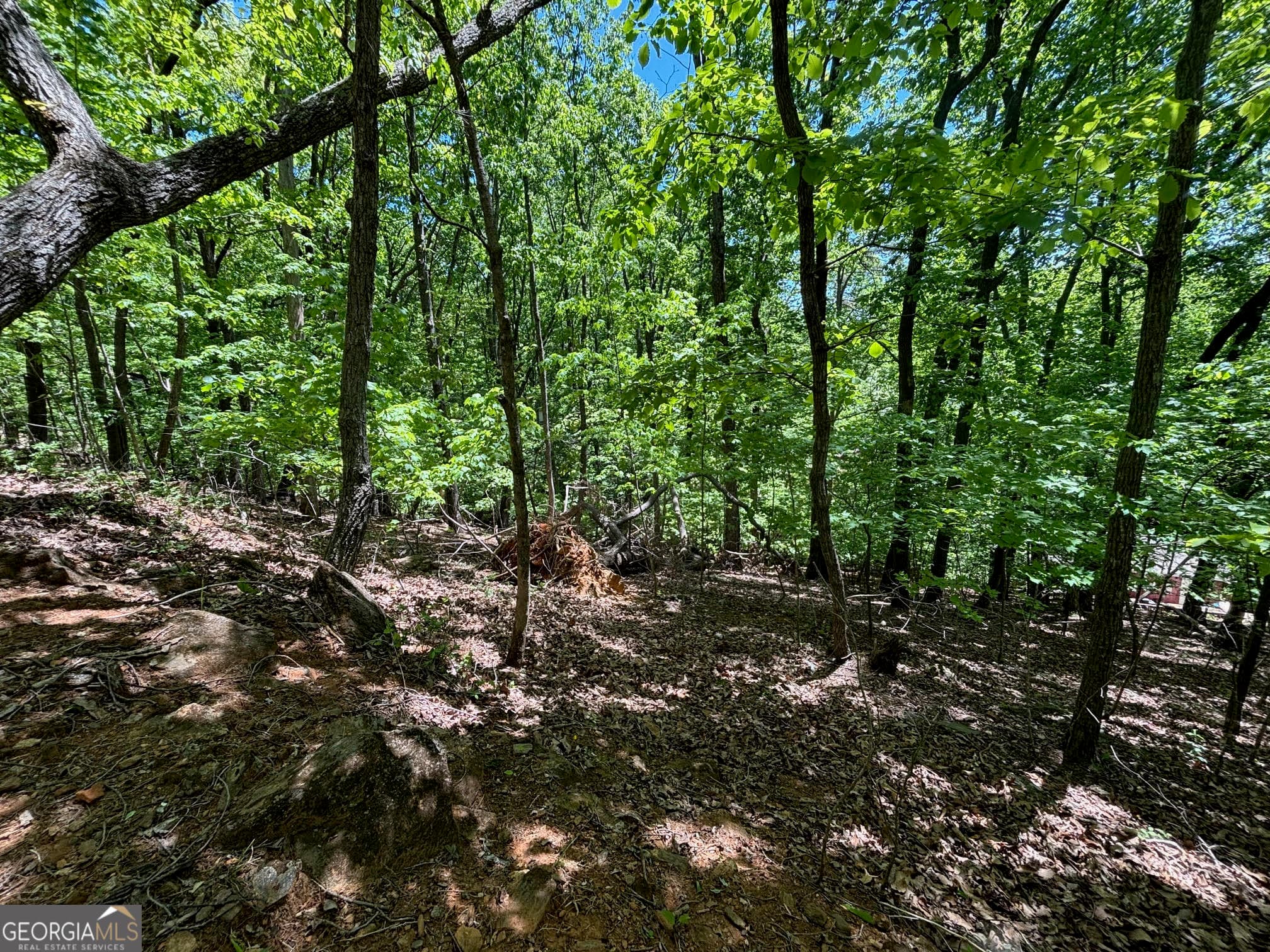 residential lot for sale at 0 Lookout Ridge Road 11, Cleveland, GA 30528 — photo 7