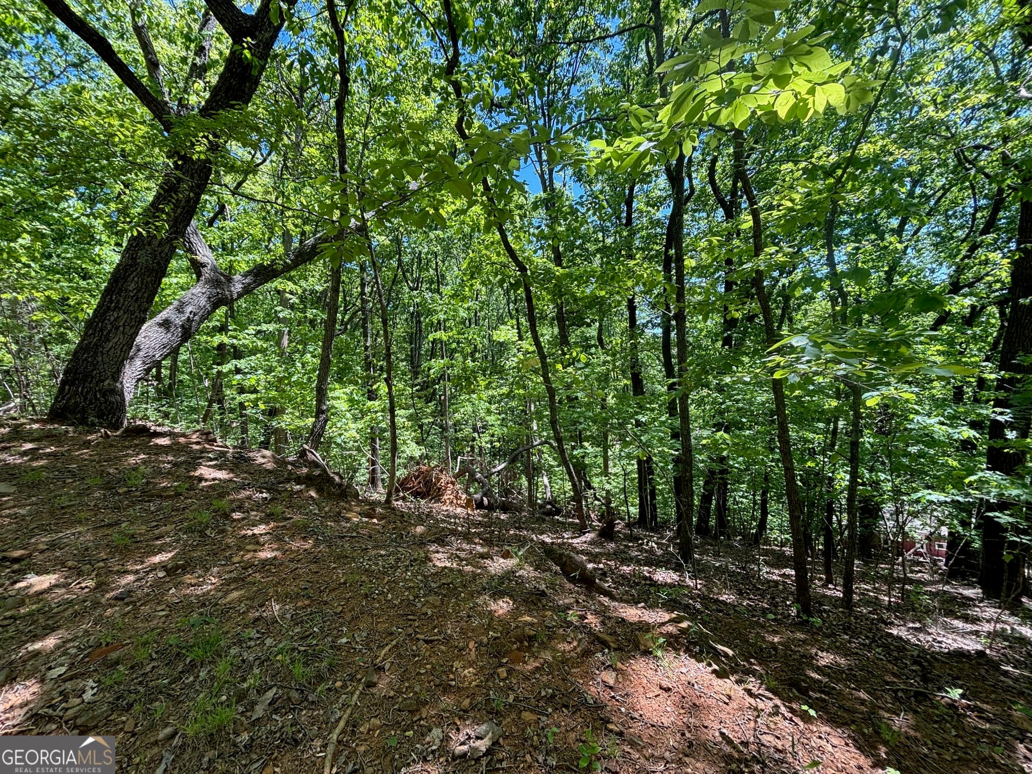 residential lot for sale at 0 Lookout Ridge Road 11, Cleveland, GA 30528 — photo 1 of 10