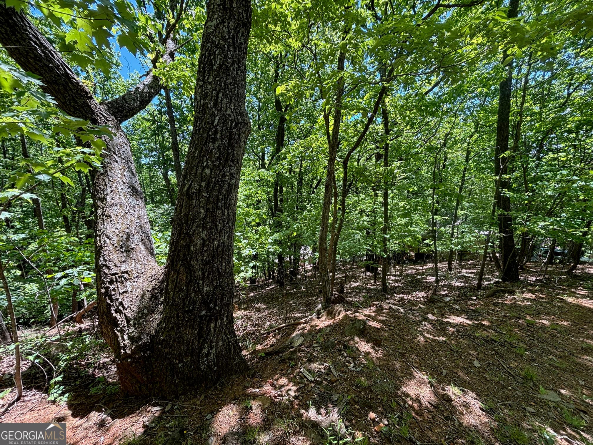 residential lot for sale at 0 Lookout Ridge Road 11, Cleveland, GA 30528 — photo 5