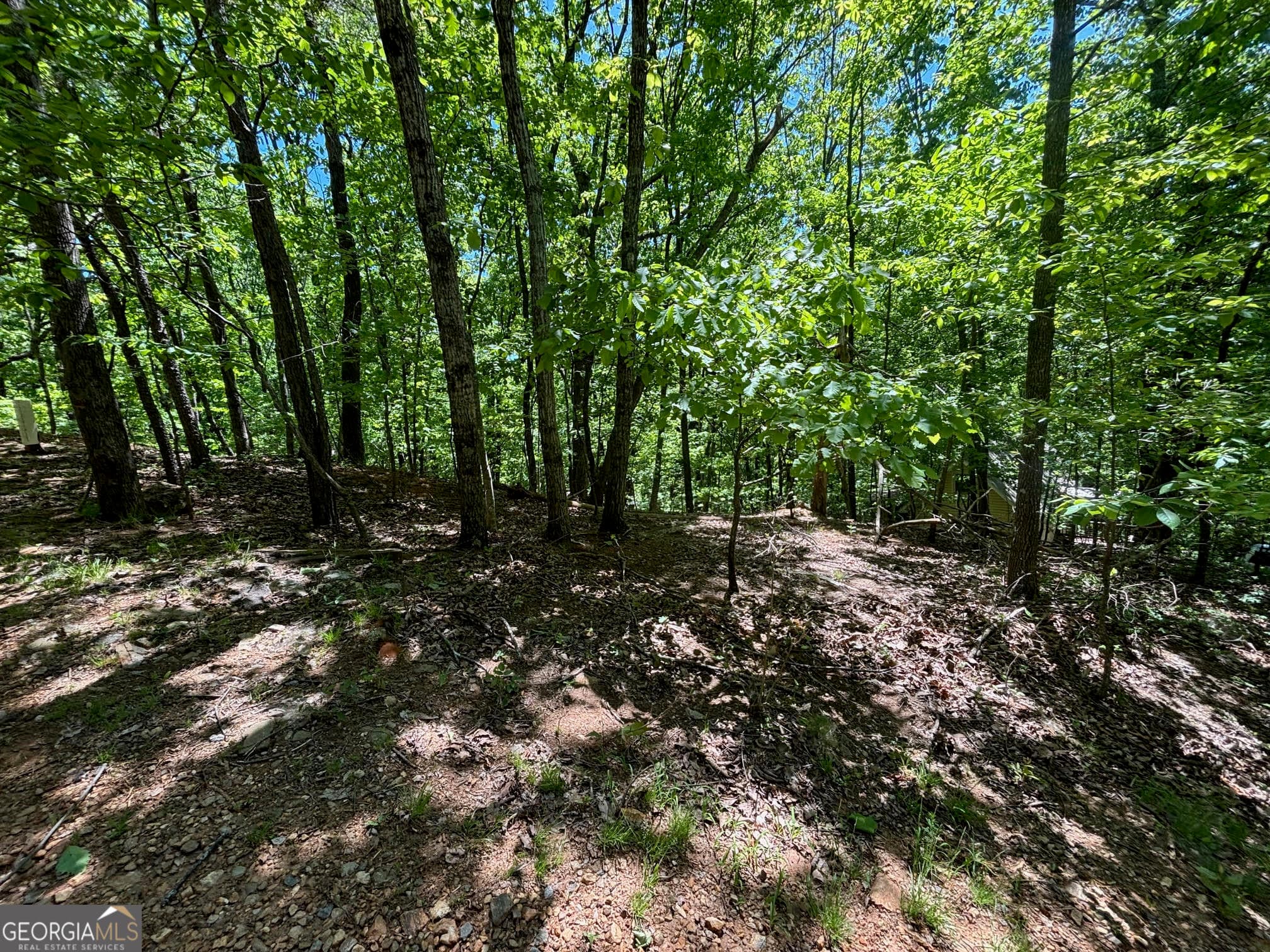 residential lot for sale at 0 Lookout Ridge Road 11, Cleveland, GA 30528 — photo 9