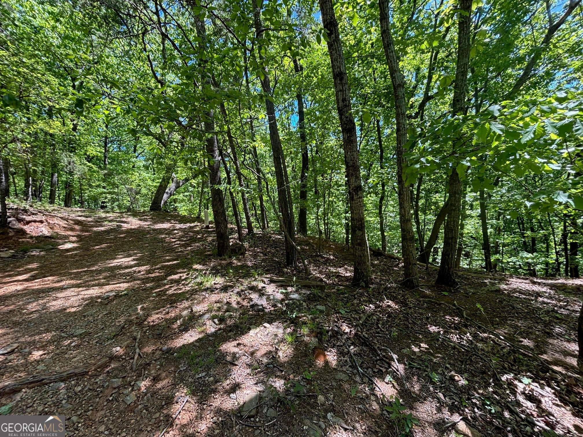 residential lot for sale at 0 Lookout Ridge Road 11, Cleveland, GA 30528 — photo 10