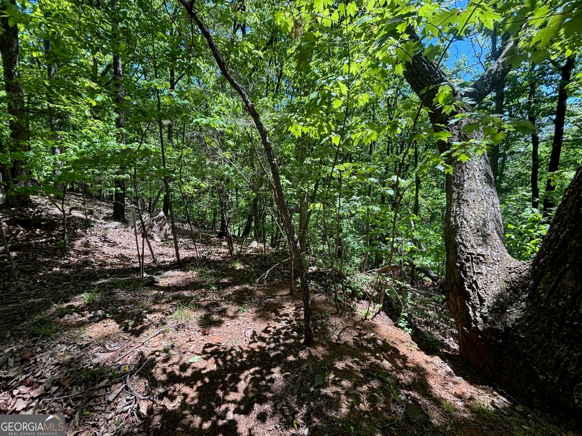 residential lot for sale at 0 Lookout Ridge Road 11, Cleveland, GA 30528 — photo 4