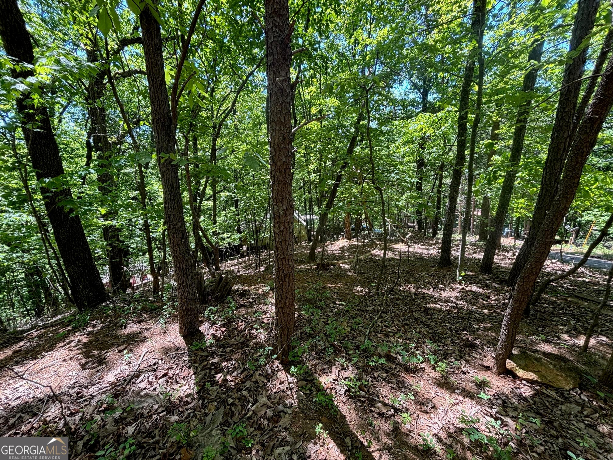 residential lot for sale at 0 Lookout Ridge Road 11, Cleveland, GA 30528 — photo 8
