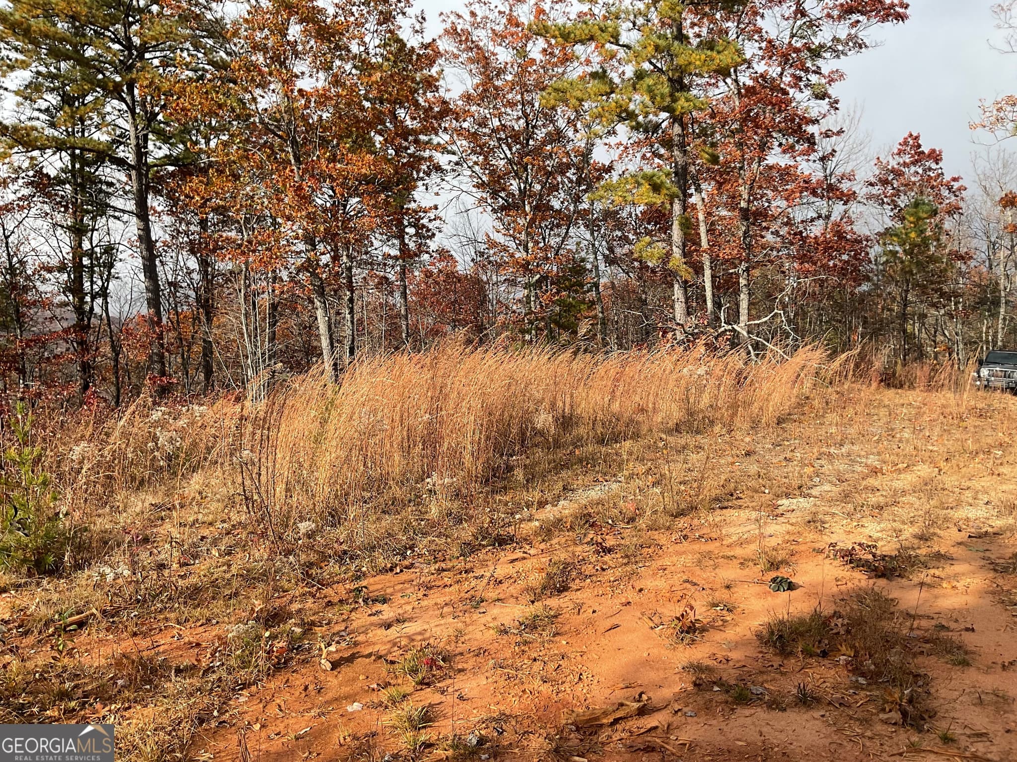 agriculture for sale at 0 Lynn Drive, Clayton, GA 30525 — photo 3