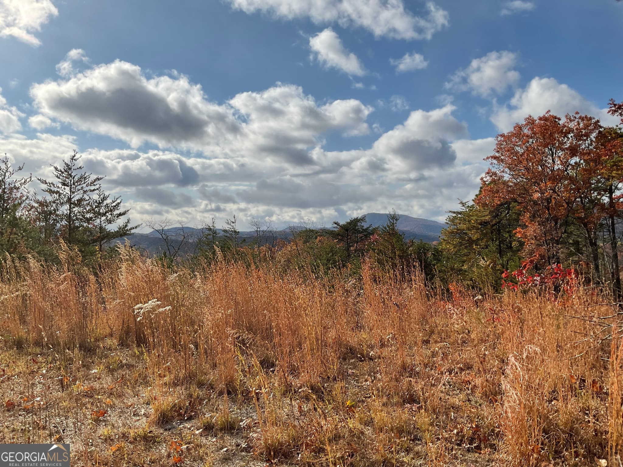 agriculture for sale at 0 Lynn Drive, Clayton, GA 30525