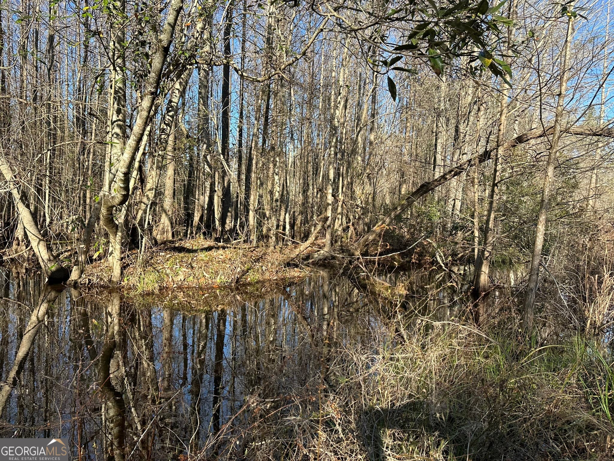 agriculture for sale at 0021 Barnes Road, Gordon, AL 36343 — photo 2