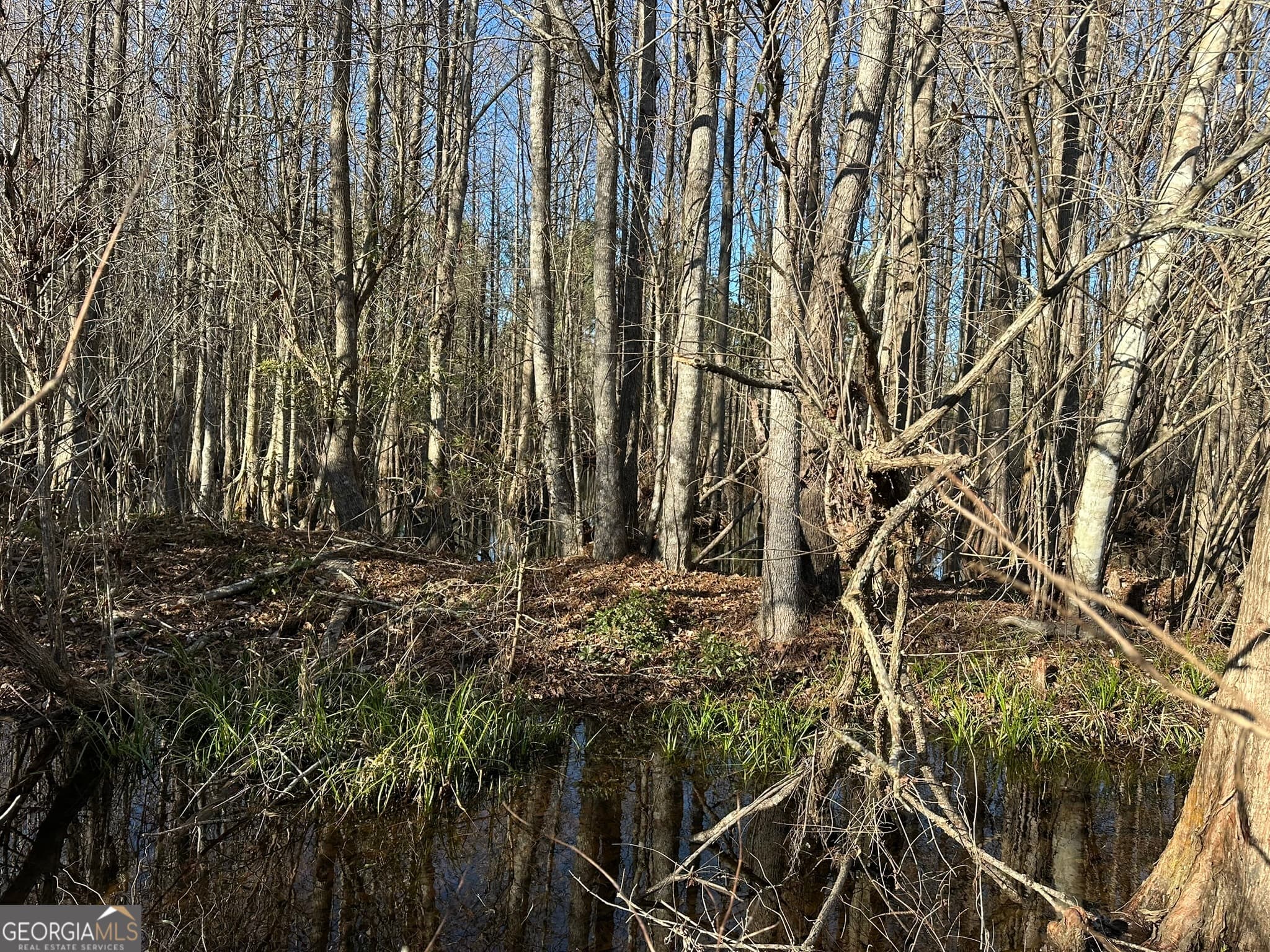 agriculture for sale at 0021 Barnes Road, Gordon, AL 36343 — photo 3