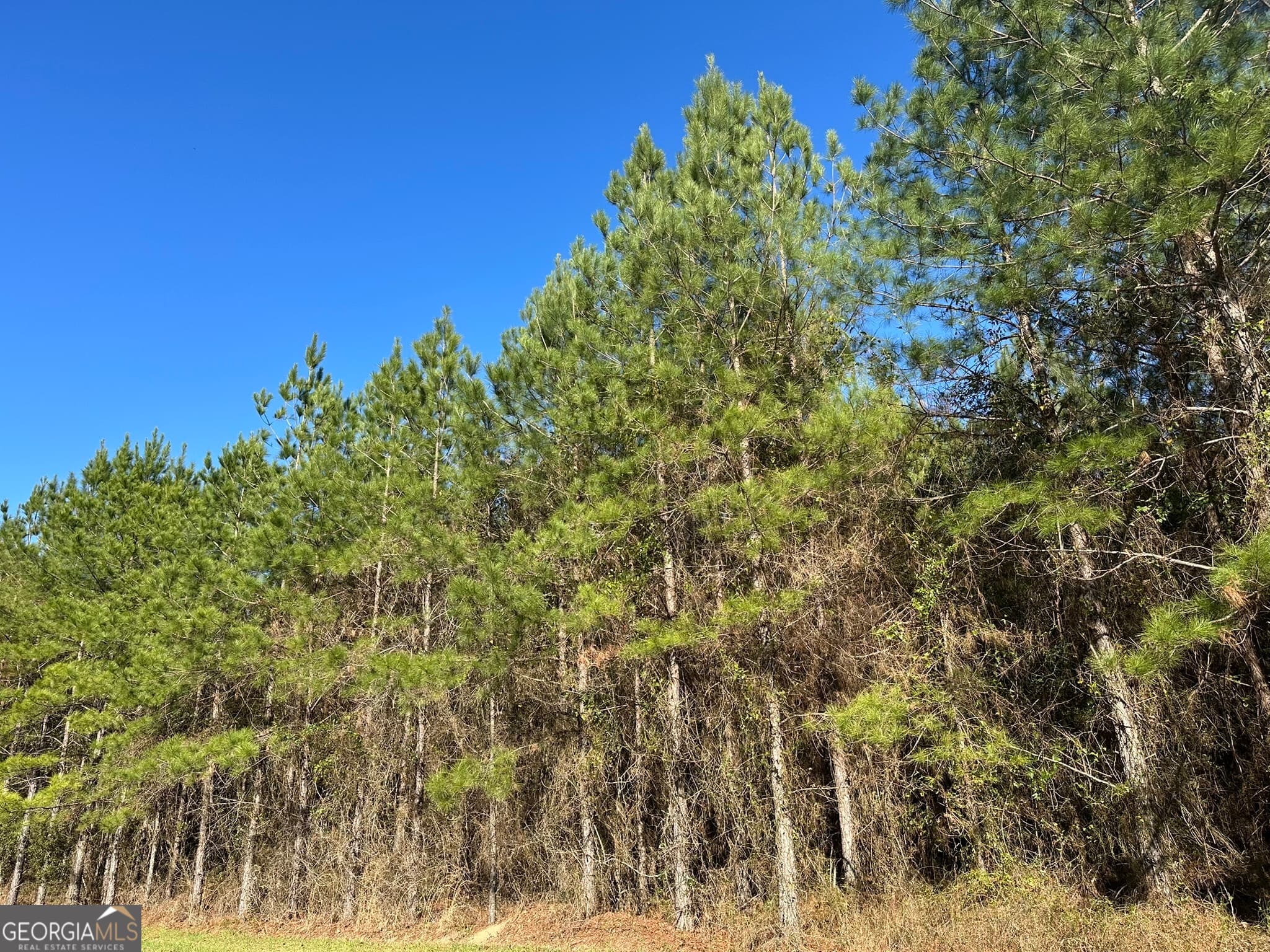agriculture for sale at 0021 Barnes Road, Gordon, AL 36343