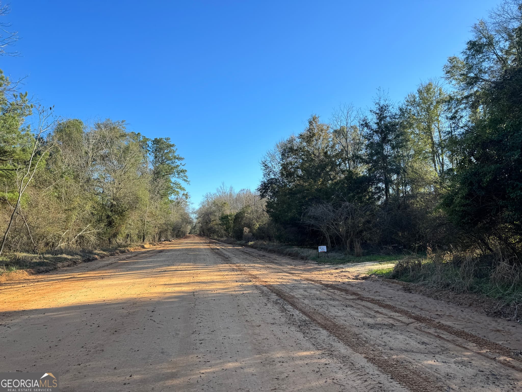 agriculture for sale at 0021 Barnes Road, Gordon, AL 36343 — photo 5