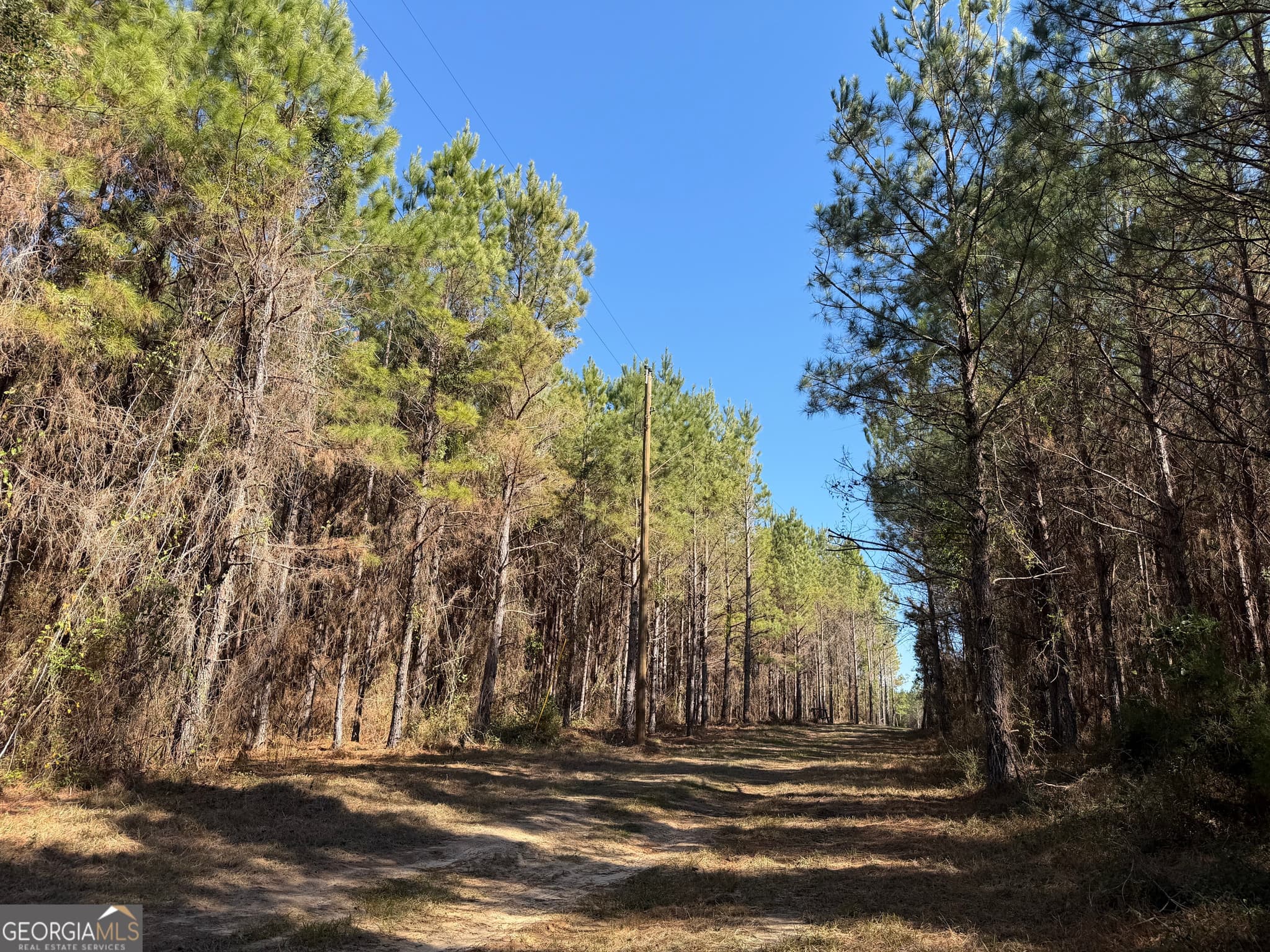 agriculture for sale at 0021 Barnes Road, Gordon, AL 36343 — photo 9