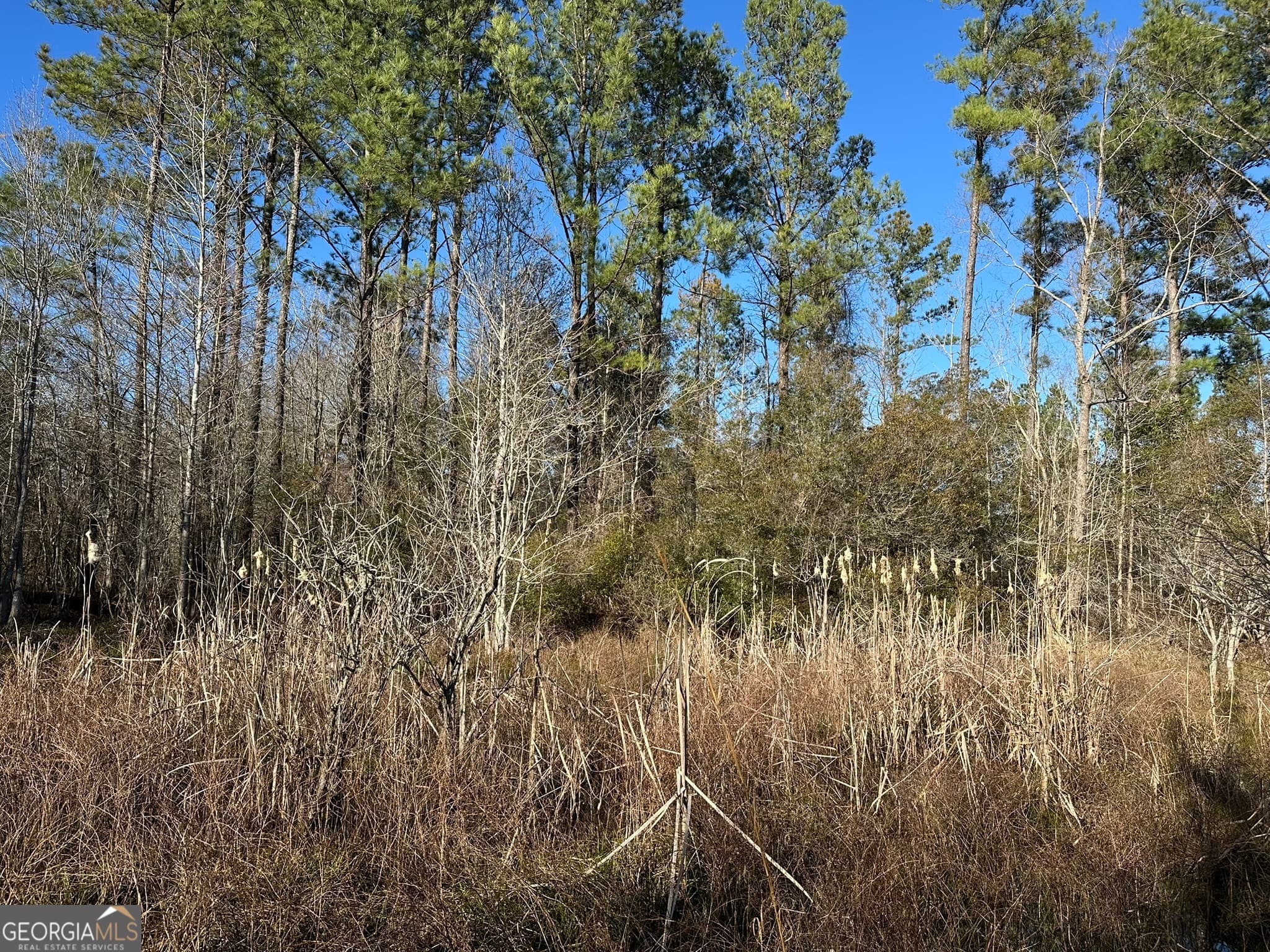 agriculture for sale at 0021 Barnes Road, Gordon, AL 36343 — photo 4