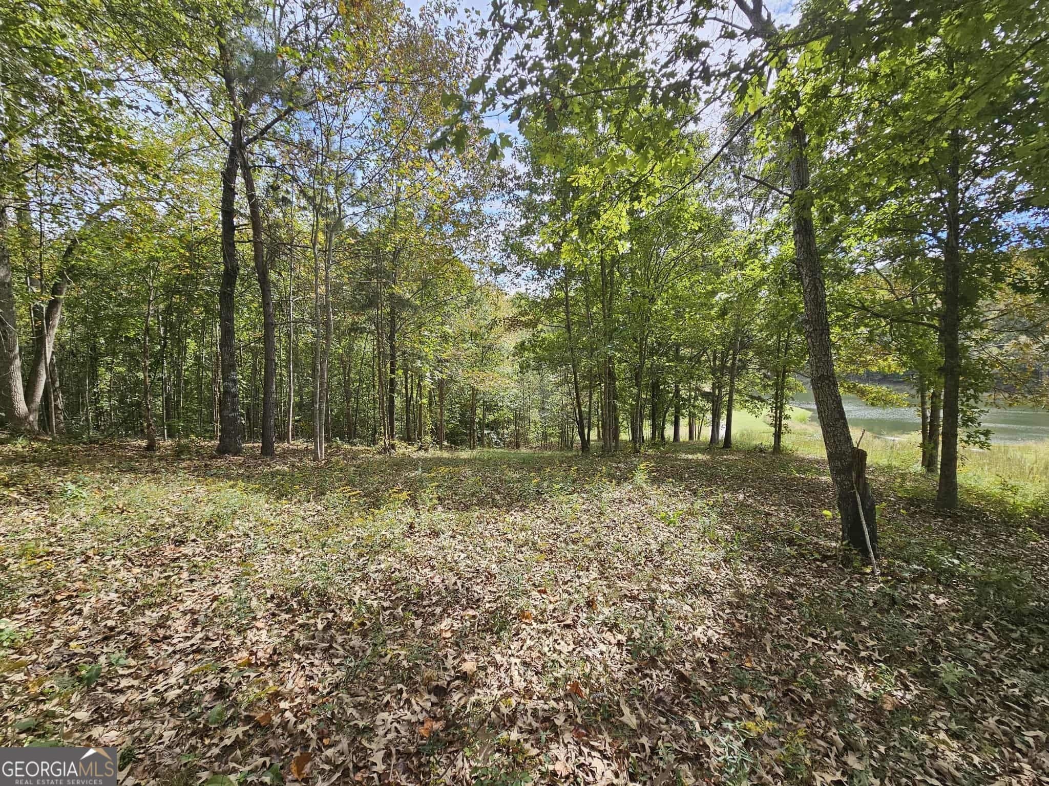 residential lot for sale at 42 Lookout Point, Toccoa, GA 30577 — photo 2