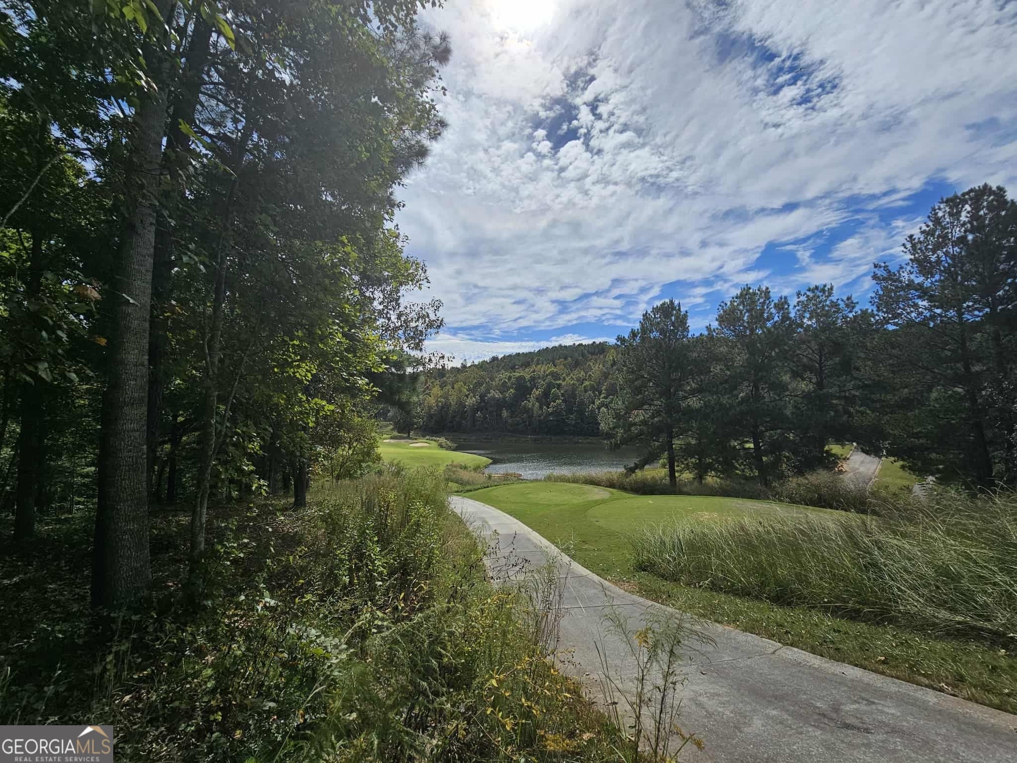 residential lot for sale at 42 Lookout Point, Toccoa, GA 30577 — photo 6