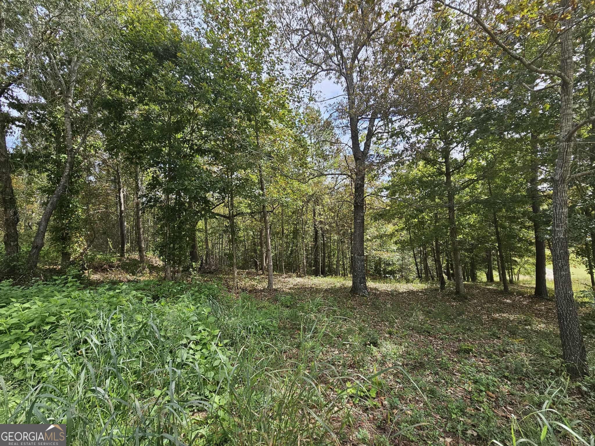 residential lot for sale at 42 Lookout Point, Toccoa, GA 30577 — photo 7