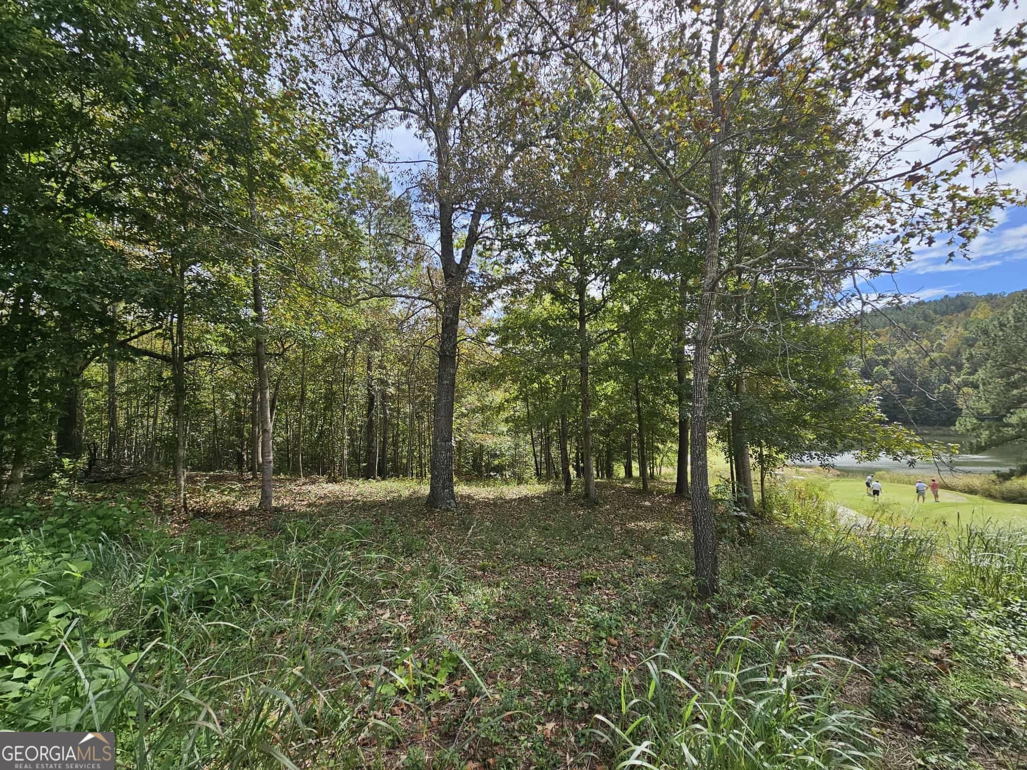residential lot for sale at 42 Lookout Point, Toccoa, GA 30577 — photo 1 of 29