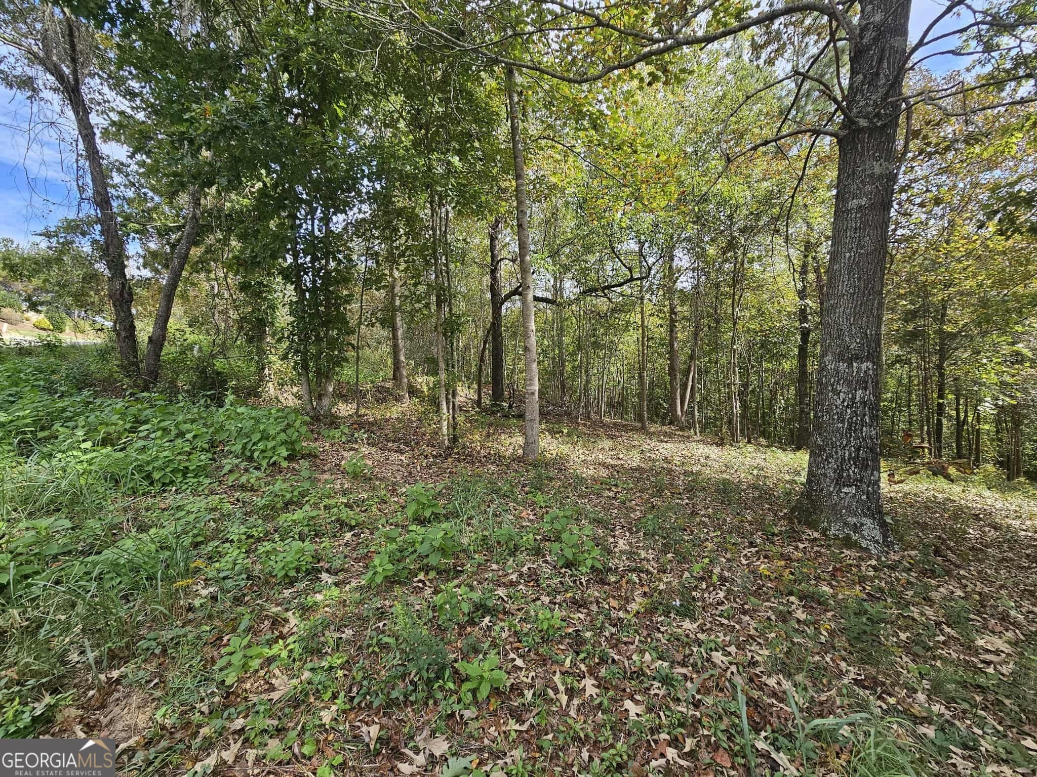 residential lot for sale at 42 Lookout Point, Toccoa, GA 30577 — photo 9